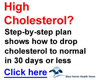 Natural Cholesterol Guide