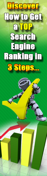3 Steps To Search Engine Success Book